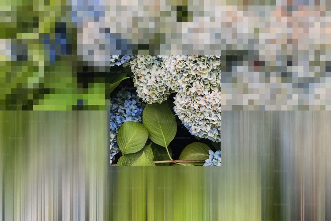 喜欢蹲着真的不是因为懒 或许是身体在偷偷 “自救”